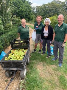 Fruit from Belvoir Castle